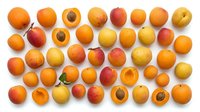 Assorted fresh apricots and peaches with whole and halved fruits showing pits, arranged on white background for food, nutrition, and culinary design projects.