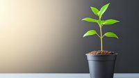 Young green plant seedling growing in black pot against gradient background, symbolizing growth, new beginnings, and environmental sustainability.