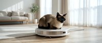 Siamese cat sitting on robotic vacuum cleaner in modern living room with natural sunlight streaming through windows creating peaceful domestic scene.