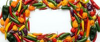 Colorful hot chili peppers frame border on white background with copy space for text. Spicy cooking ingredients layout for menu design and culinary projects.