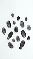 Multiple fingerprints arranged on white background, isolated forensic evidence for criminal investigation, law enforcement, security, identity verification, and educational materials.