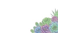 Colorful succulent plants arrangement corner border design on white background isolated for botanical decoration and gardening projects.