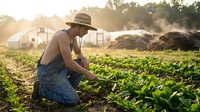 Young Caucasian female farmer in hat and overalls tending to green leafy crops in organic vegetable garden during golden hour sunrise on sustainable farm.