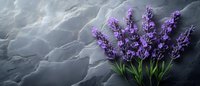 Fresh purple lavender flowers arranged on dark stone background with dramatic lighting and copy space, aromatic herbs for spa and wellness.