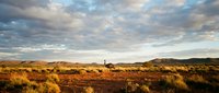 Lone hiker exploring vast desert wilderness under dramatic cloudy sky at golden hour. Adventure travel and outdoor recreation concept for hiking gear.