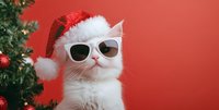 White cat wearing sunglasses and Santa hat near Christmas tree against red background, festive holiday pet portrait with humorous modern style.