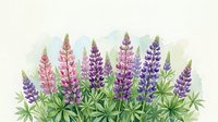 Watercolor lupine flowers in pink, purple, and violet hues with green foliage on a light background, perfect for cards and prints.