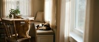 Cozy home interior with orange tabby cat sleeping on window seat beside wooden dining table in warm natural sunlight streaming through curtains.
