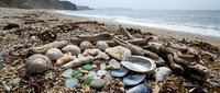 Sea glass treasures and smooth stones scattered on pebble beach with driftwood and seaweed, perfect for coastal decor and natural crafting projects.
