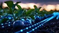 Fresh strawberry plants growing in modern agricultural field with blue LED lighting system and innovative technology for smart farming at sunset.