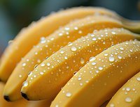 Fresh ripe bananas with water droplets on yellow peel, showcasing natural moisture and freshness for food photography and healthy eating concepts.