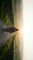 Woman in dark jacket standing on rural country road at golden hour sunset, surrounded by green fields and stone walls, looking toward distant landscape with warm atmospheric lighting.