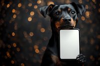 Adorable black and tan puppy holding blank white card with warm bokeh lights background for holiday greeting cards and promotional designs.