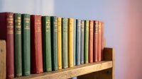Row of vintage leather-bound books with colorful spines arranged on wooden shelf against soft pink wall background, suitable for library, education, and interior design projects.