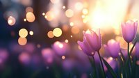 Purple tulips blooming in warm golden sunlight with beautiful bokeh lights creating dreamy spring garden atmosphere for romantic designs.