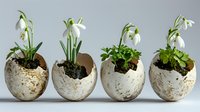 Delicate snowdrops and green plants growing in decorative eggshells, creative spring gardening composition showing natural growth stages on white background.