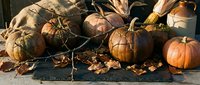 Autumn harvest display with orange pumpkins and gourds arranged on rustic wooden surface with dried leaves for seasonal decoration and fall celebrations.