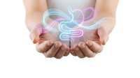 Hands holding a glowing neon digestive system illustration, symbolizing gut health, digestion care, and gastrointestinal wellness concepts.