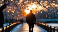 Silhouette of person walking on illuminated bridge at sunset with cherry blossoms overhead creating romantic atmospheric scene for lifestyle and travel concepts.