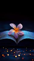Pink plumeria flower on open book with water drops and bokeh lights creating magical atmosphere against dark blue background, romantic evening mood.