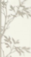 Soft beige botanical shadow overlay with delicate leaf silhouettes creating natural organic patterns for elegant design backgrounds and branding projects.
