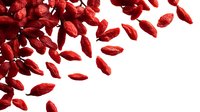 Dried red goji berries scattered on white background, isolated superfood ingredient for healthy eating and natural medicine.