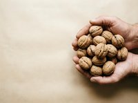 Hand holding fresh walnuts on neutral background. Suitable for healthy eating, nutrition, organic food, and wellness content.