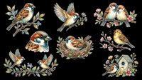 Charming sparrow clipart set with nesting birds, floral branches, and birdhouse, isolated on transparent background. Great for stickers, t-shirt design, and print on demand.