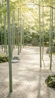 Serene bamboo grove with raked sand patterns creating peaceful zen garden atmosphere with natural sunlight filtering through green foliage for meditation spaces.