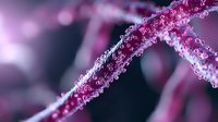 Frozen plant branch covered in ice crystals and frost on dark background with pink bokeh lights creating magical winter nature macro photography.