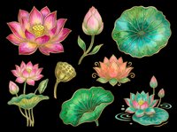 Lotus flowers and water lily botanical elements isolated on transparent background, ready for t-shirt design, clipart, stickers, sublimation and print-on-demand projects.