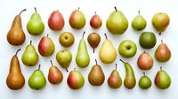 Colorful assortment of fresh pears in various shapes and sizes arranged on white background. Organic fruit collection for healthy eating and nutrition.