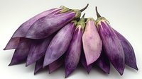 Fresh purple eggplants with green stems arranged in fan shape on white background, organic produce for healthy cooking and Mediterranean cuisine.