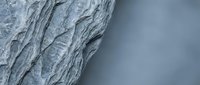 Gray weathered tree bark texture with deep grooves and natural patterns against soft blurred background for organic design projects.