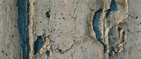 Weathered concrete wall with peeling blue paint showing aged urban decay texture for industrial design backgrounds and grunge artistic projects.