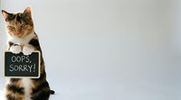 Adorable calico kitten holding apology sign saying oops sorry, cute pet expressing remorse for mischief on neutral background for greeting cards.