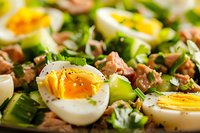 Fresh green salad with soft-boiled eggs, crispy bacon bits and mixed greens for healthy meal preparation and restaurant menu photography.