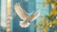 Majestic white dove with spread wings soaring against urban background with skyscrapers and soft bokeh lights, symbolizing peace, freedom and spirituality.