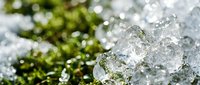 Macro shot of melting ice crystals with blurred green moss background, depicting winter thaw and seasonal change for environmental and nature projects.