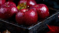 Fresh red apples with water drops on dark background, macro shot showing texture and glossy surface of ripe fruits in moody lighting.