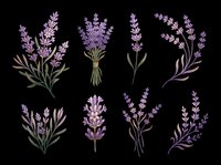 Lavender flowers isolated on transparent background, ready for t-shirt design, clipart, stickers, sublimation and print-on-demand products.