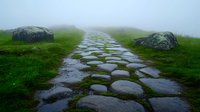 Mystical stone pathway through foggy green meadow with ancient rocks, wet cobblestones reflecting light after rain creates atmospheric landscape scene.
