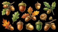 Autumn acorns and oak leaves clipart set, isolated on transparent background. Great for fall T-shirts, stickers, print on demand, sublimation, and seasonal design projects.