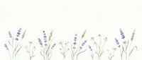 Watercolor lavender and wildflower border with delicate purple blooms and green stems on white background for wedding invitations and botanical designs.
