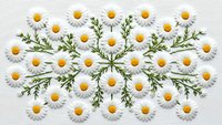 White daisies and green leaves arranged in symmetrical floral pattern on light background for spring design projects and botanical decorations.