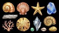 Watercolor sea collection with shells, starfish, coral, sand dollar, driftwood, and stones isolated on transparent background. Great for stickers, t-shirt design, and print on demand.