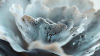 Ethereal macro photography of pale blue flower petals with delicate texture and dark speckles, creating dreamy artistic composition for wall decor and fine art prints.