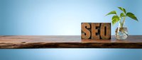 Wooden letterpress blocks spelling SEO on a rustic shelf with a green plant, symbolizing digital marketing, search engine optimization strategy.