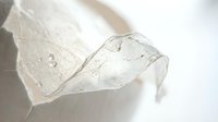 Clear ice cube with water droplets on white background, isolated for beverage, cocktail, and cooling design projects.