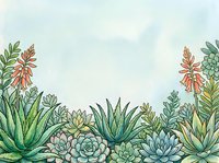 Watercolor succulent garden border with aloe, echeveria and flowering plants on soft blue sky background for botanical design projects.